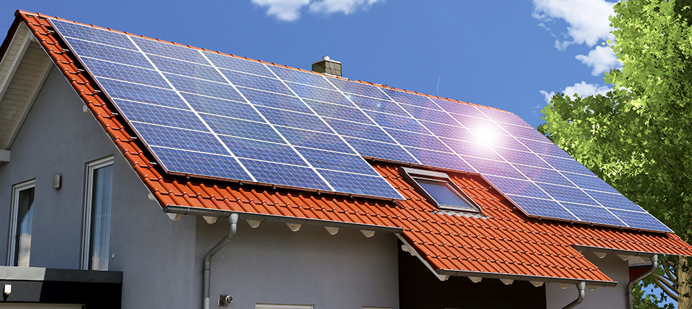 Solar Panels for Renewable Energy